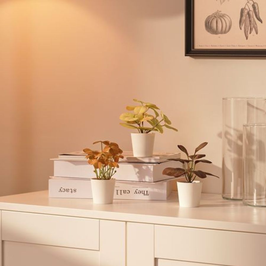 ست 3 عددی گیاه مصنوعی ایکیا مدل IKEA FEJKA